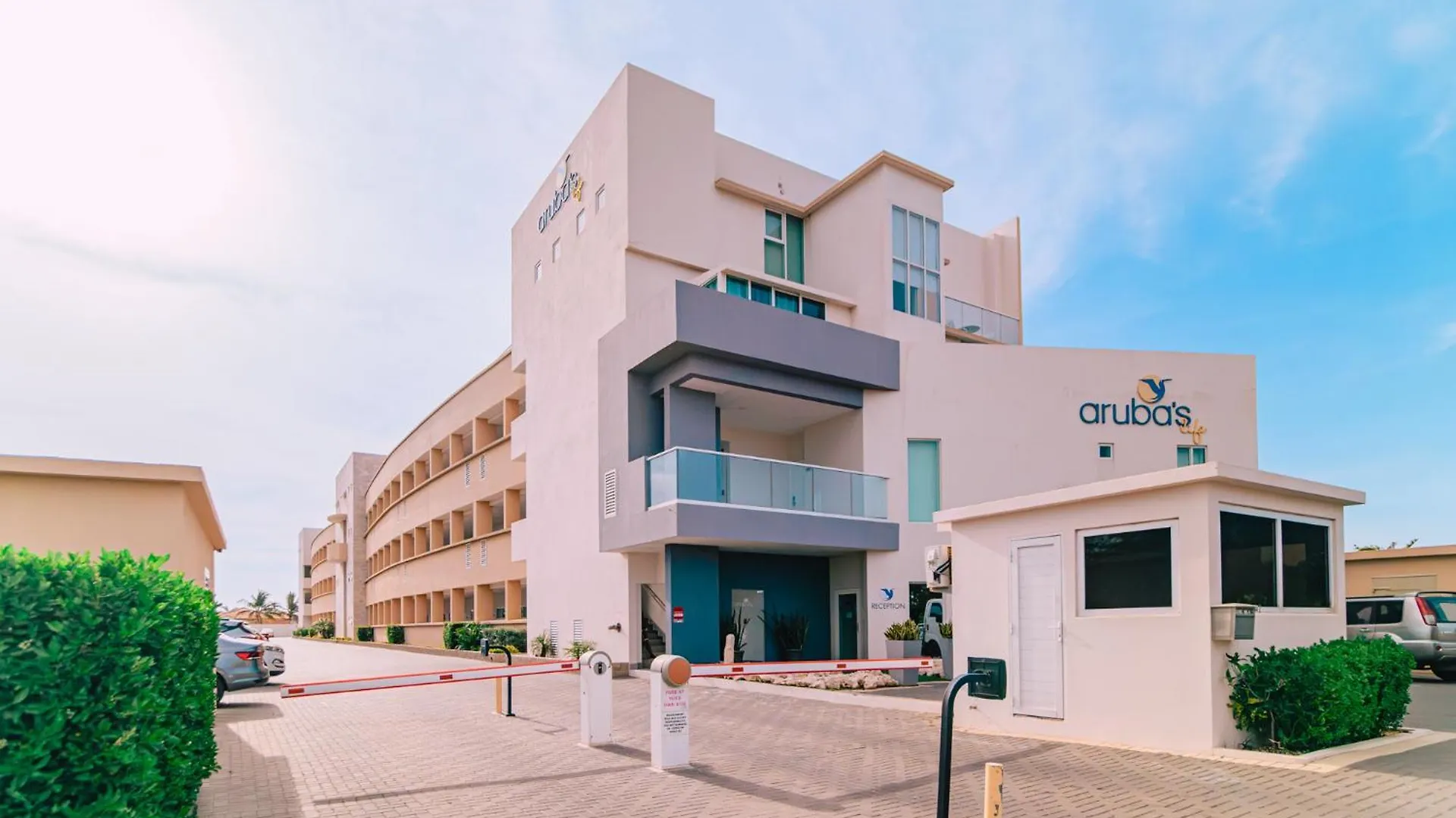 Arubas Life 411 Apartment Noord