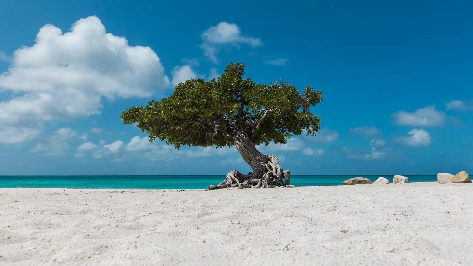Arubas Life 411 Apartment Noord Aruba